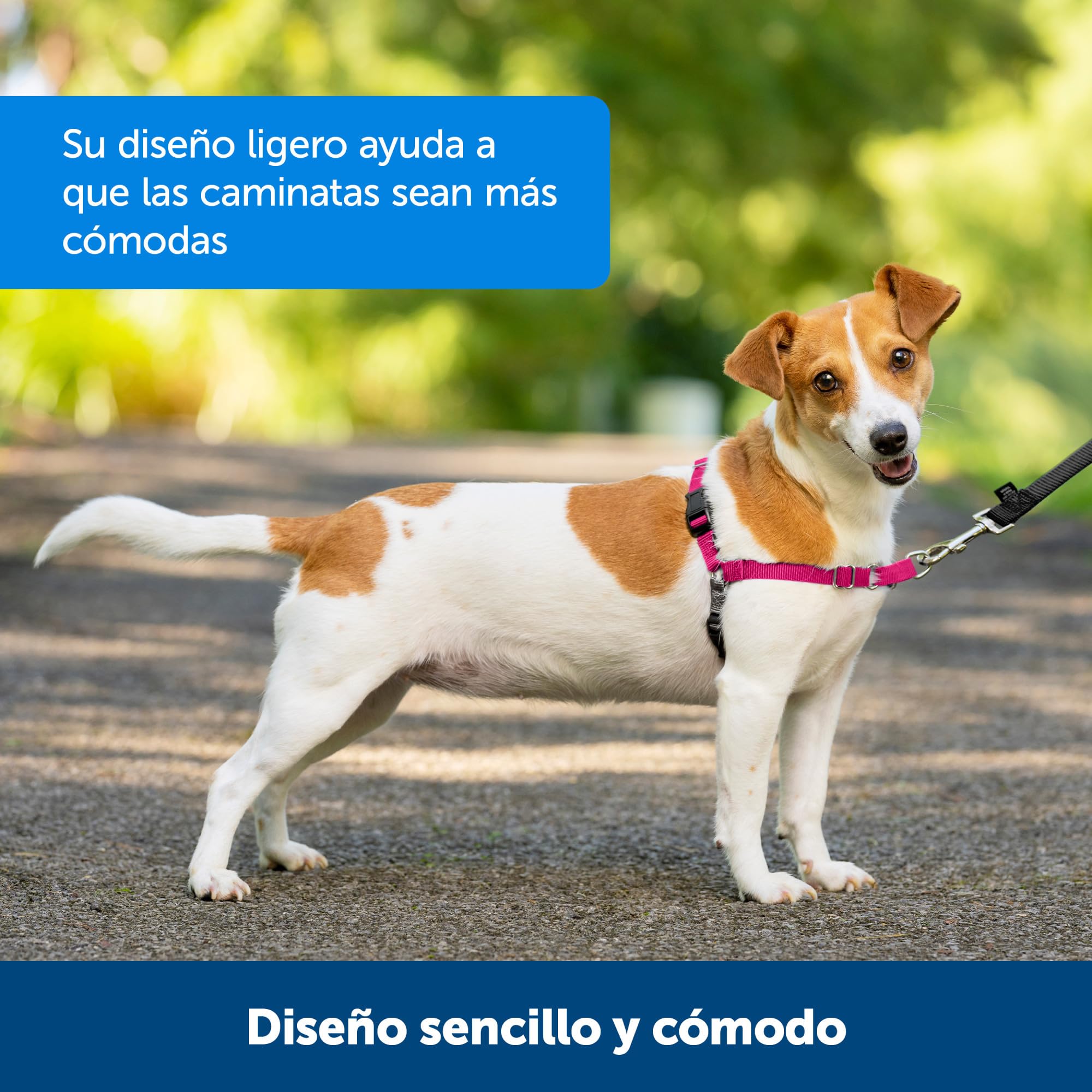 PetSafe Easy Walk comparaison taille S/M, aide au choix de la bonne taille