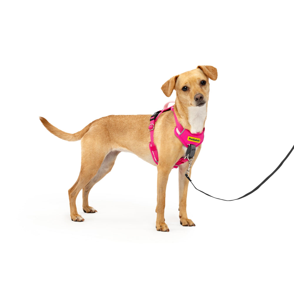 PetSafe emballage avant montrant harnais rose et informations produit, facilite le choix