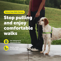 PetSafe harnais gros plan boucle martingale pour contrôle progressif