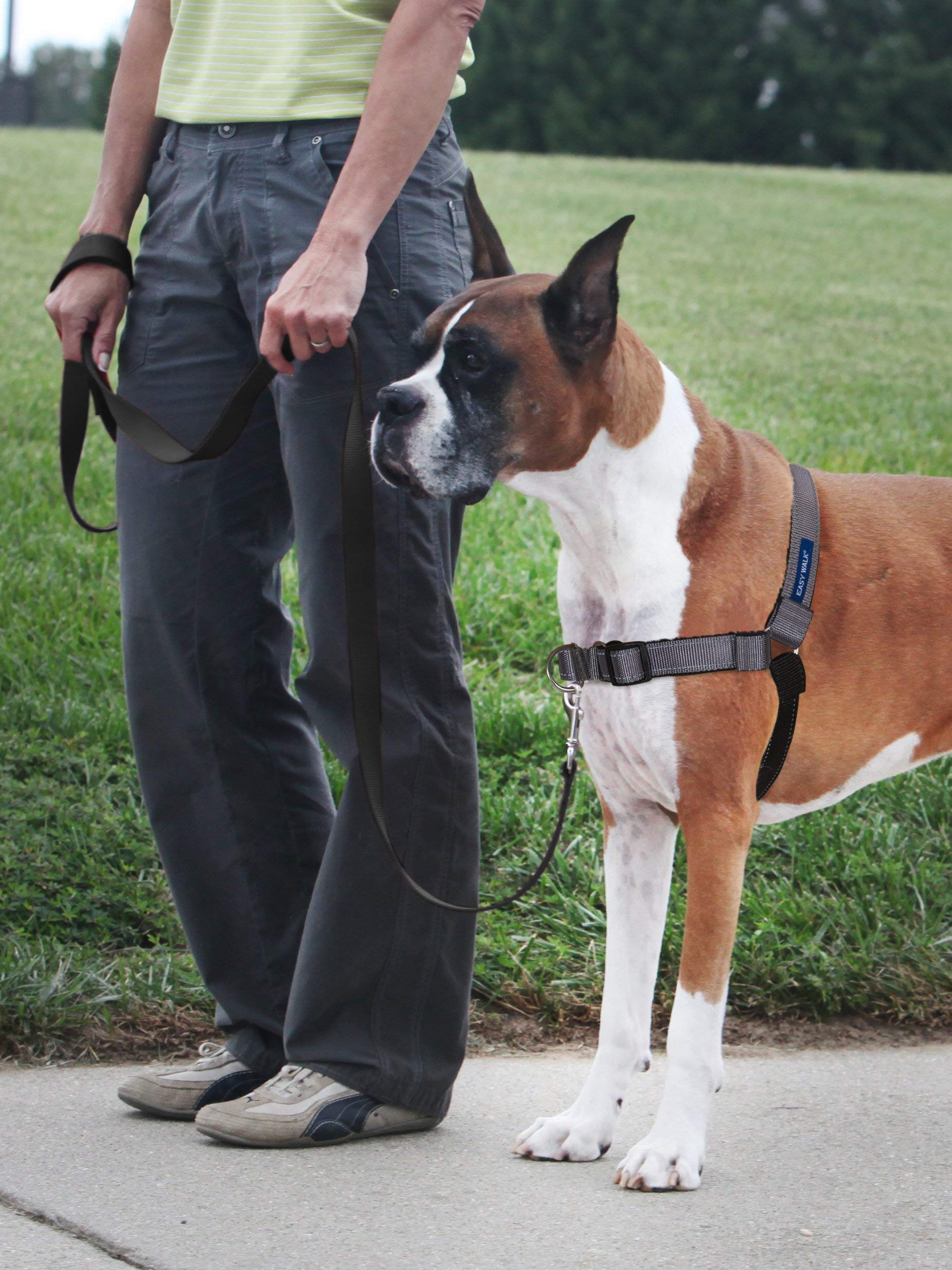 PetSafe dos du harnais avec boucles rapides pour enfilage simple et sûr