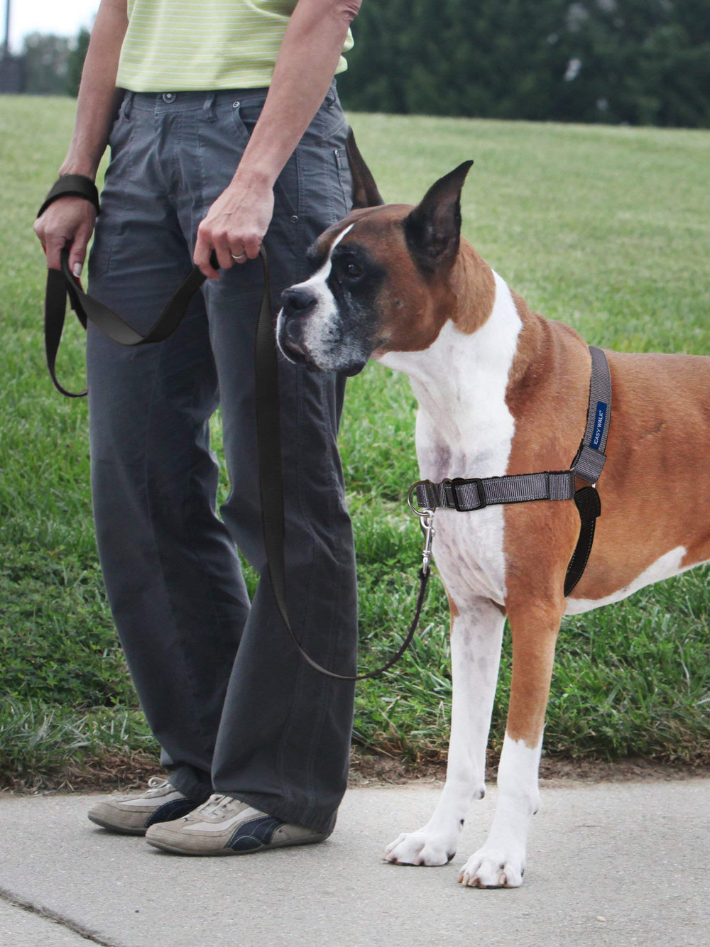 PetSafe dos du harnais avec boucles rapides pour enfilage simple et sûr