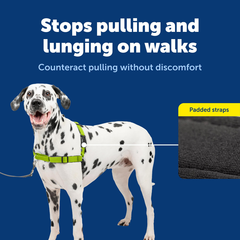 PetSafe clip de fermeture rapide pour enfiler et retirer facilement