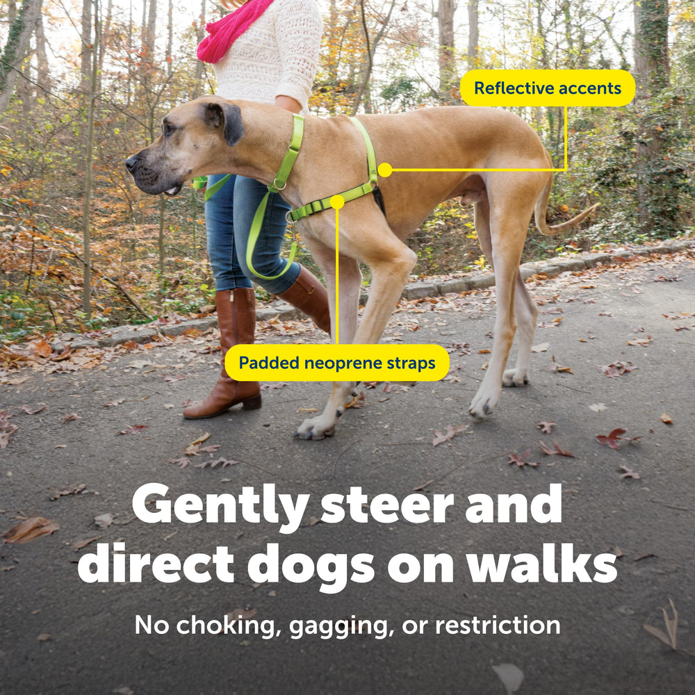 PetSafe profil du harnais porté sur chien montrant liberté de mouvement