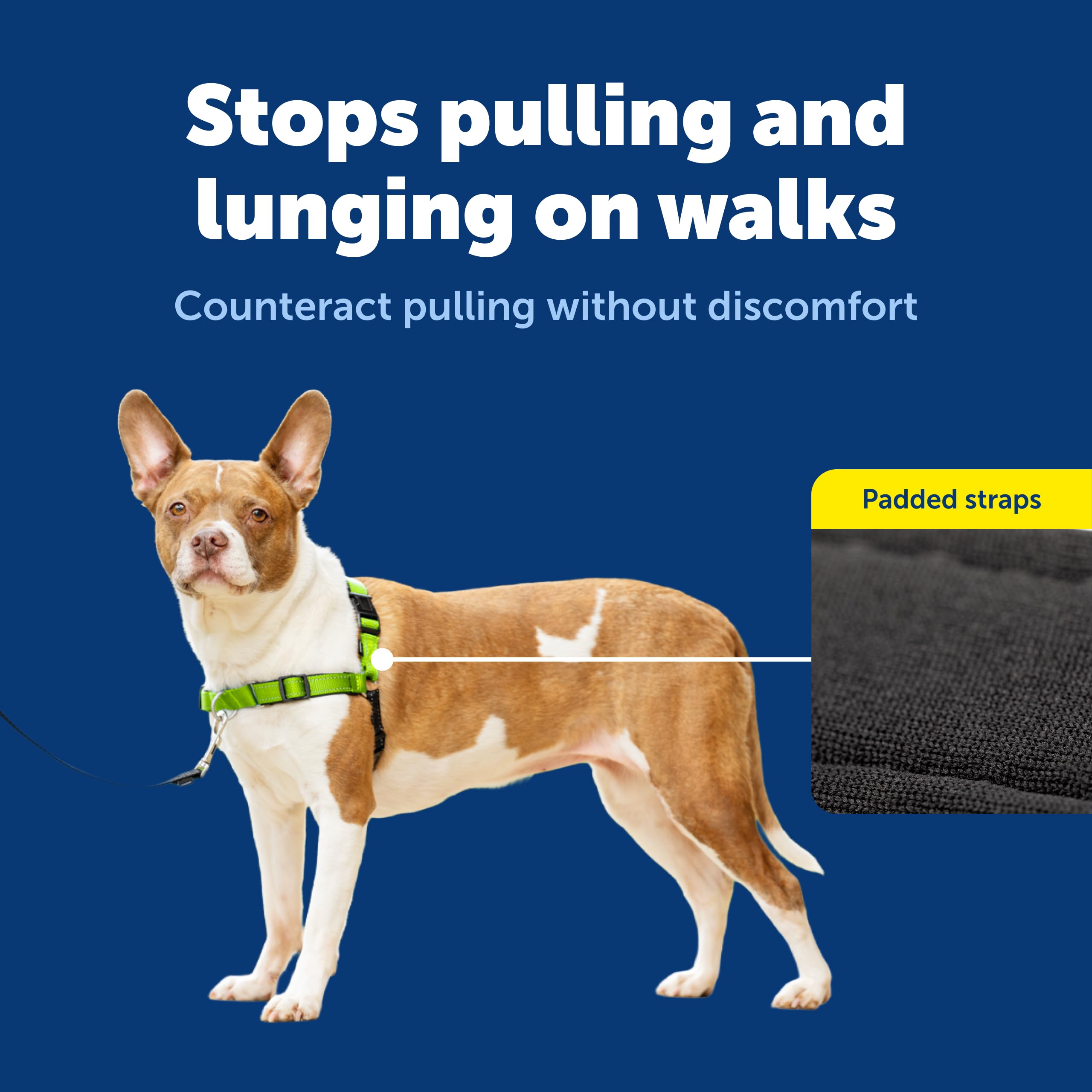 PetSafe harnais bandes réfléchissantes améliorant la sécurité nocturne