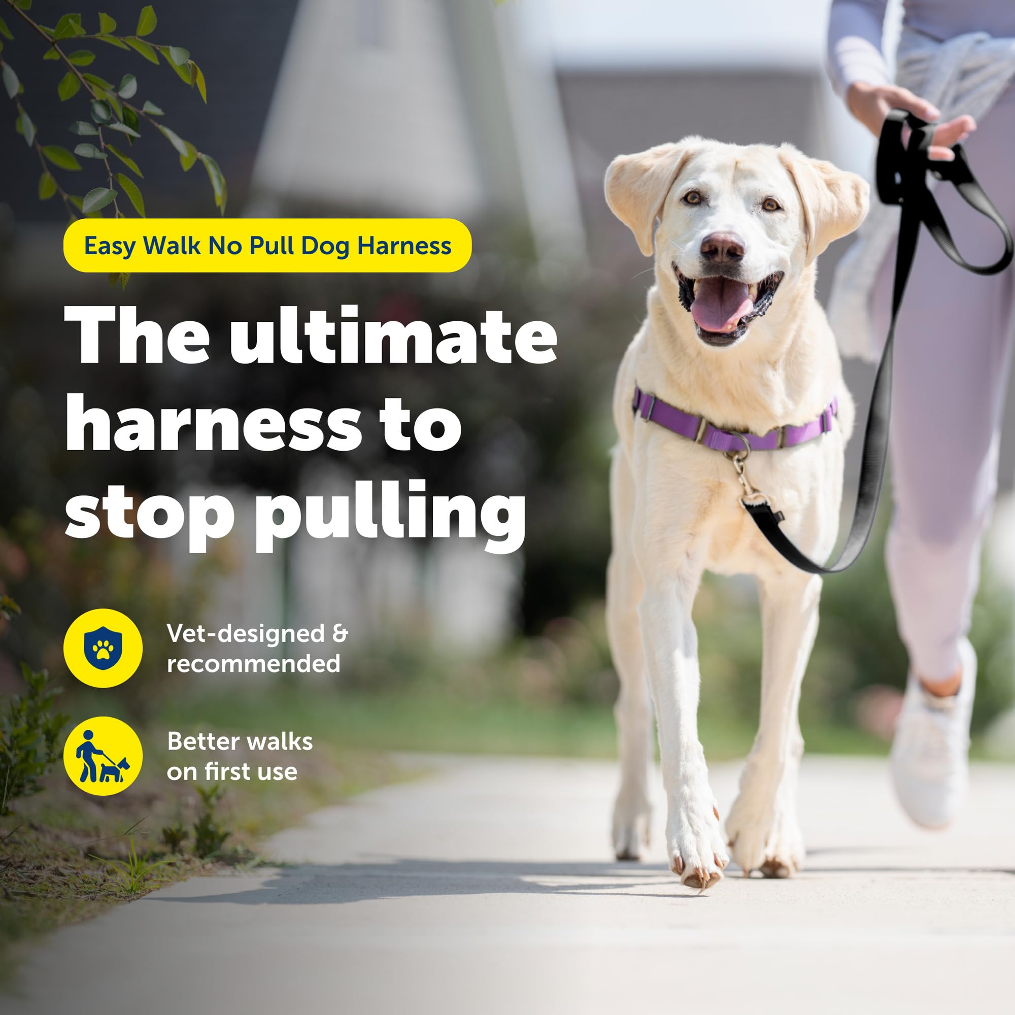 PetSafe Easy Walk gros plan de la boucle martingale pour contrôler les tirages