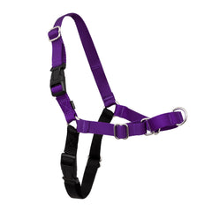 PetSafe harnais Easy Walk face avant montrant coupe et ajustement confortable