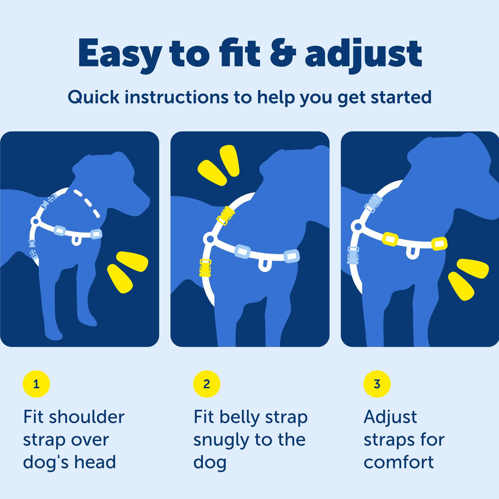 PetSafe harnais étiquette et instructions claires pour installation et entretien