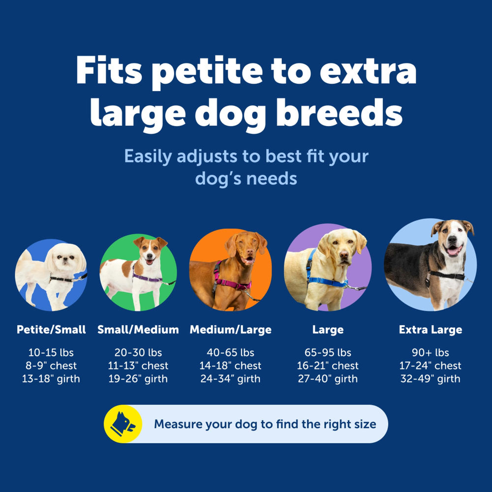 PetSafe attache de laisse frontale en action pour rediriger le chien