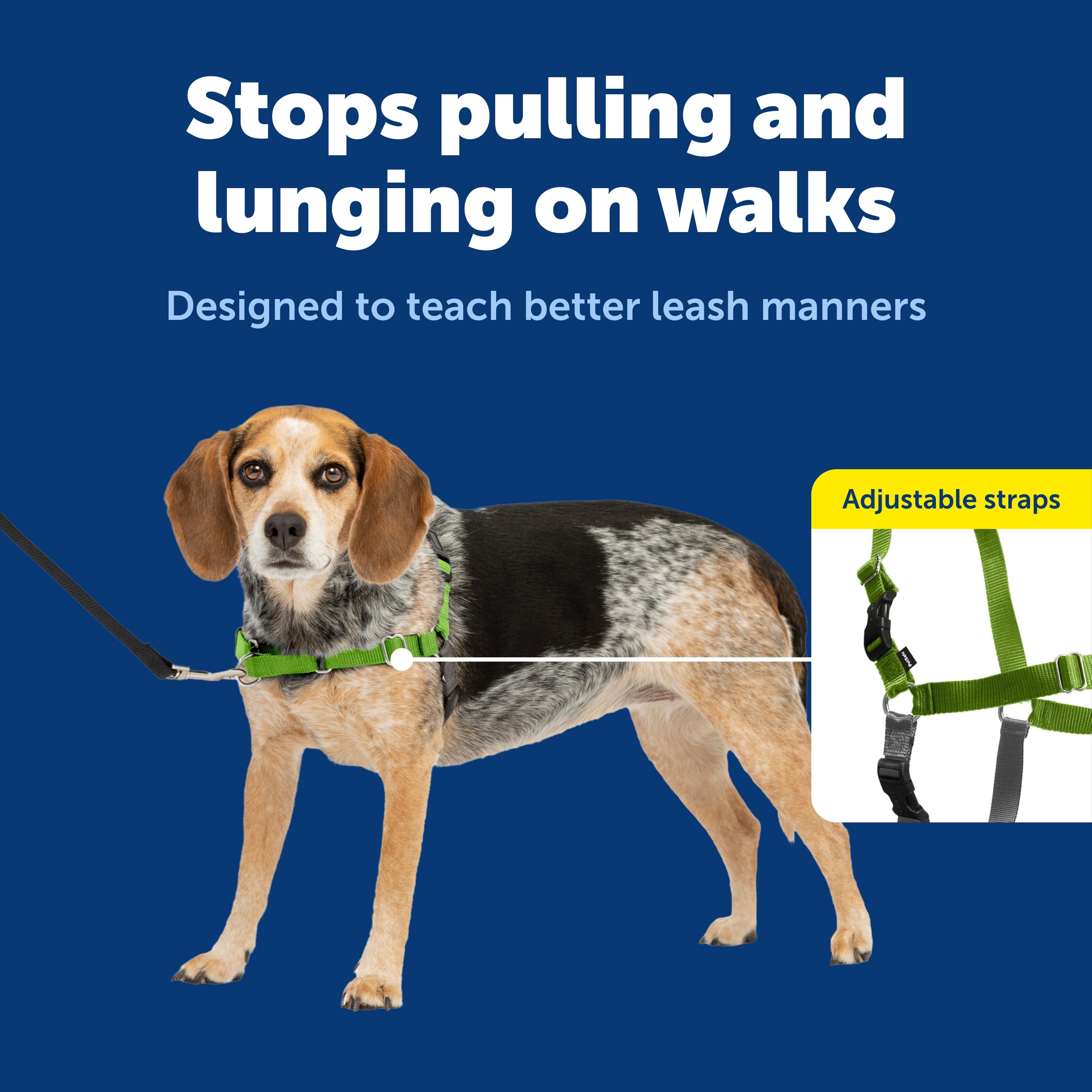 PetSafe harnais en usage attache frontale guidant le chien lors de la promenade