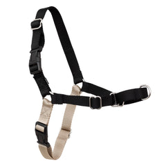 PetSafe harnais Easy Walk avant packaging montrant design et contrôle