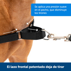 PetSafe harnais gros plan boucle martingale pour contrôle progressif