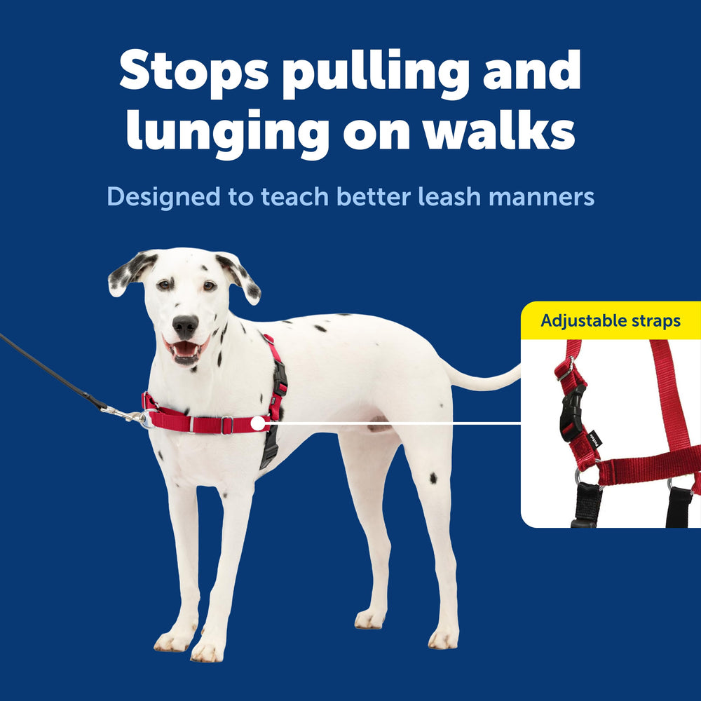 PetSafe détail sangles et boucles pour ajustement sécurisé