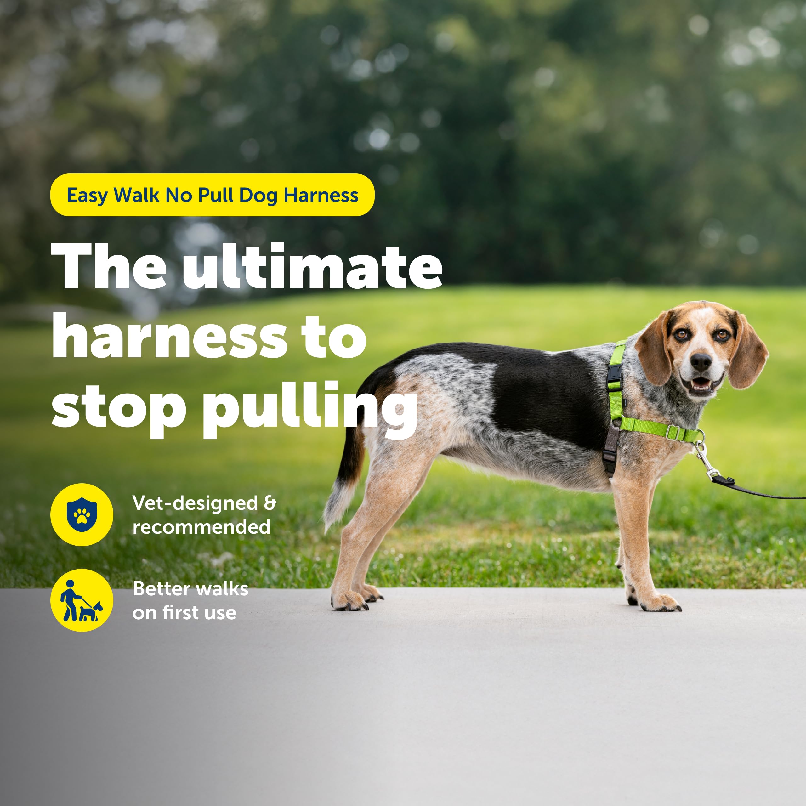 PetSafe gros plan boucle martingale montrant contrôle progressif sans gêne