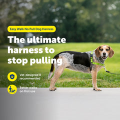 PetSafe gros plan boucle martingale montrant contrôle progressif sans gêne