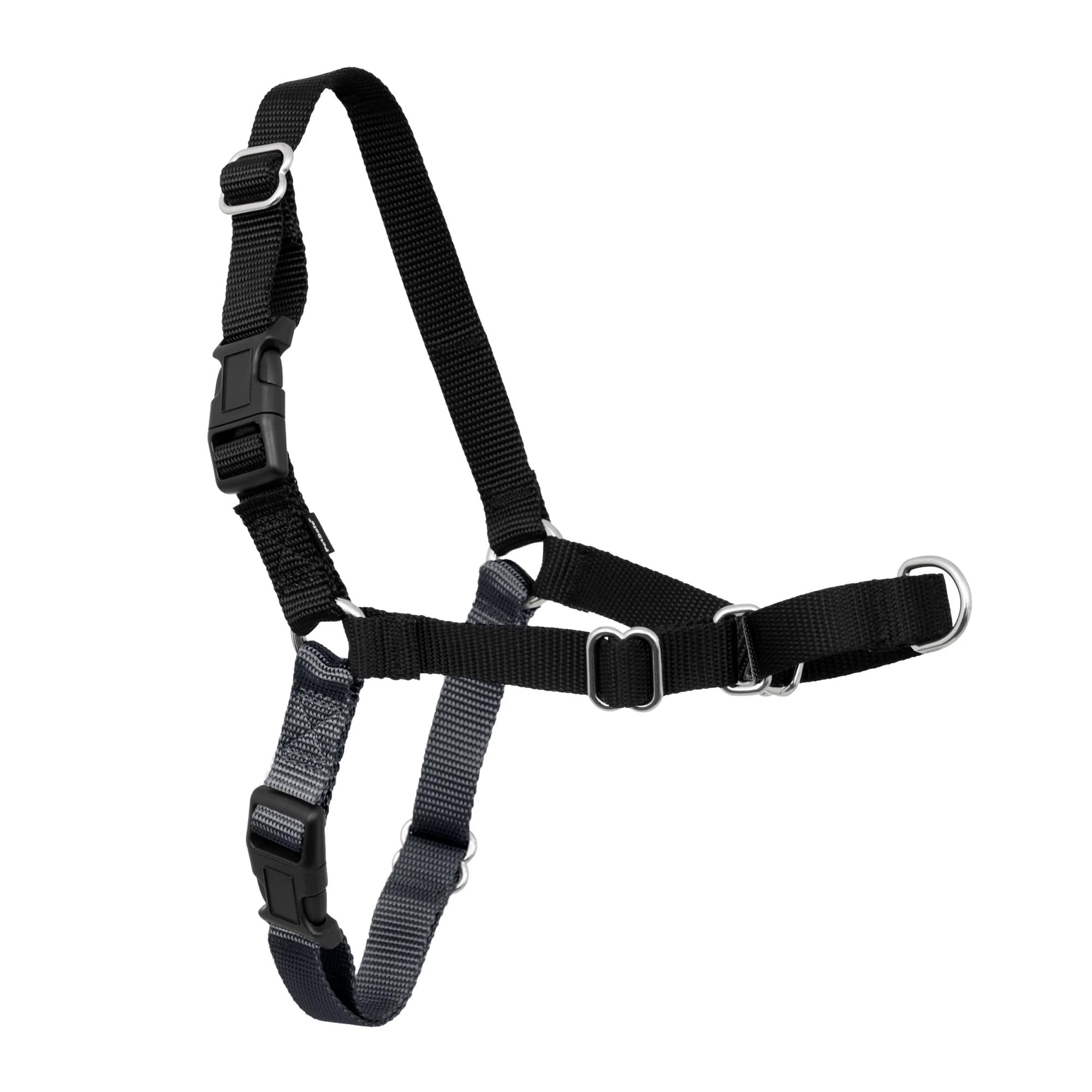 PetSafe Easy Walk vue avant montrant fixation frontale et confort