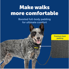 PetSafe harnais en usage promenade contrôle amélioré et liberté