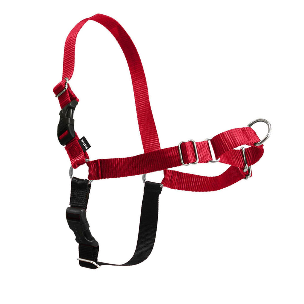 PetSafe harnais vue avant montrant attache avant et confort immédiat