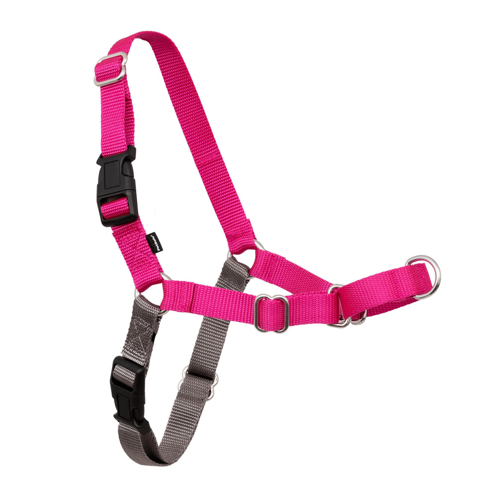 PetSafe harnais face avant montrant coupe et confort pour promenades calmes