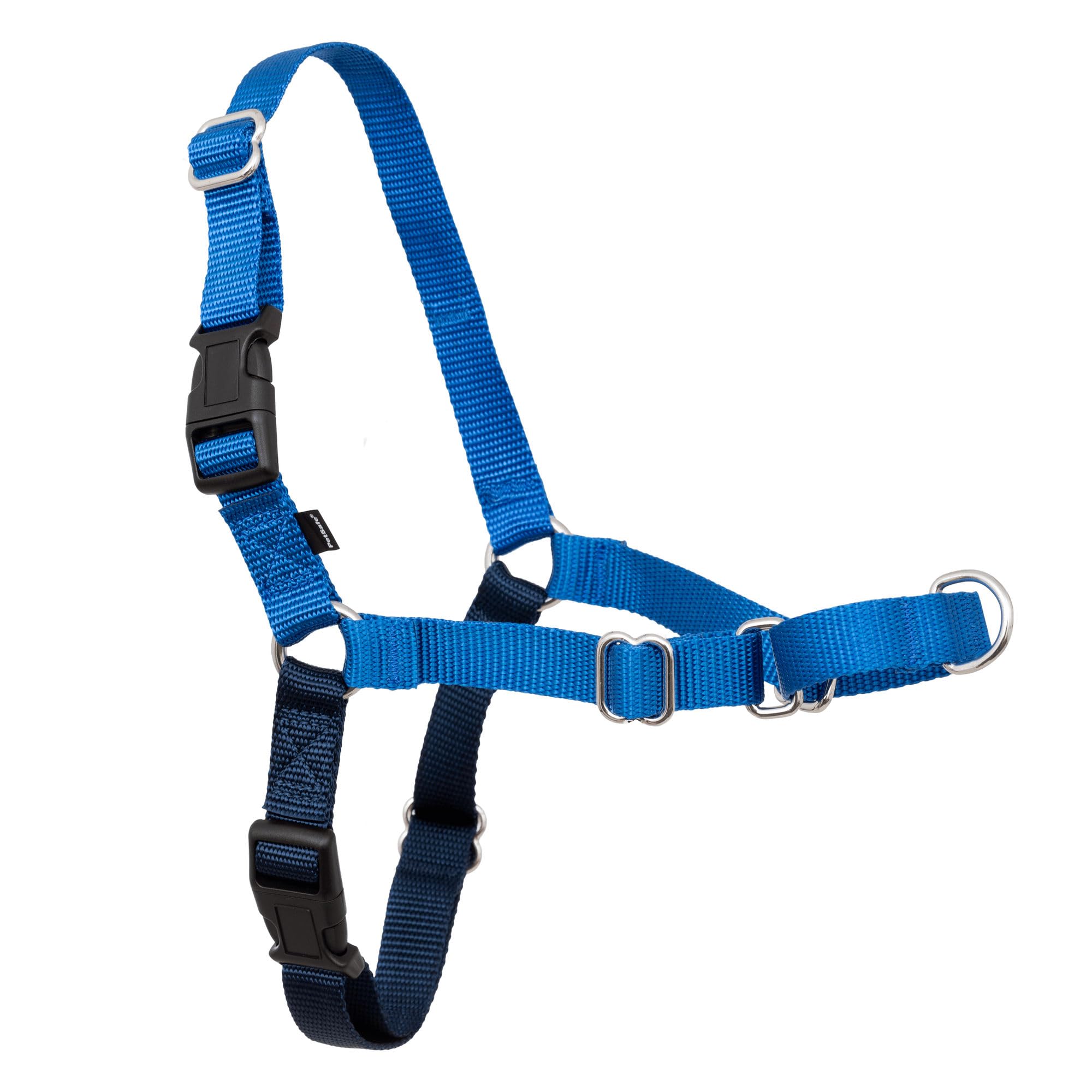 PetSafe harnais face royale bleu montrant coupe et maintien amélioré