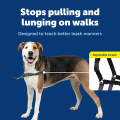 PetSafe Easy Walk gros plan martingale illustrant contrôle sans étouffement