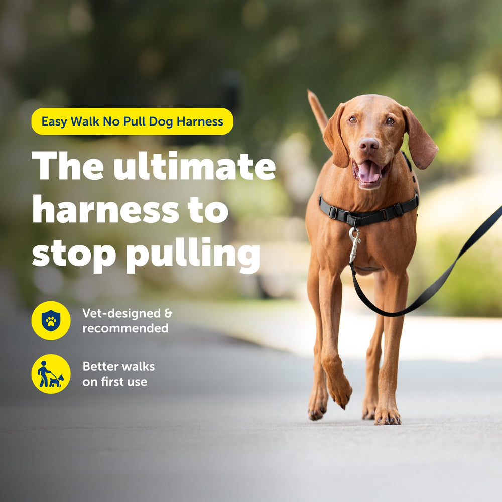 PetSafe harnais Easy Walk côté sur chien illustrant confort et liberté de mouvement