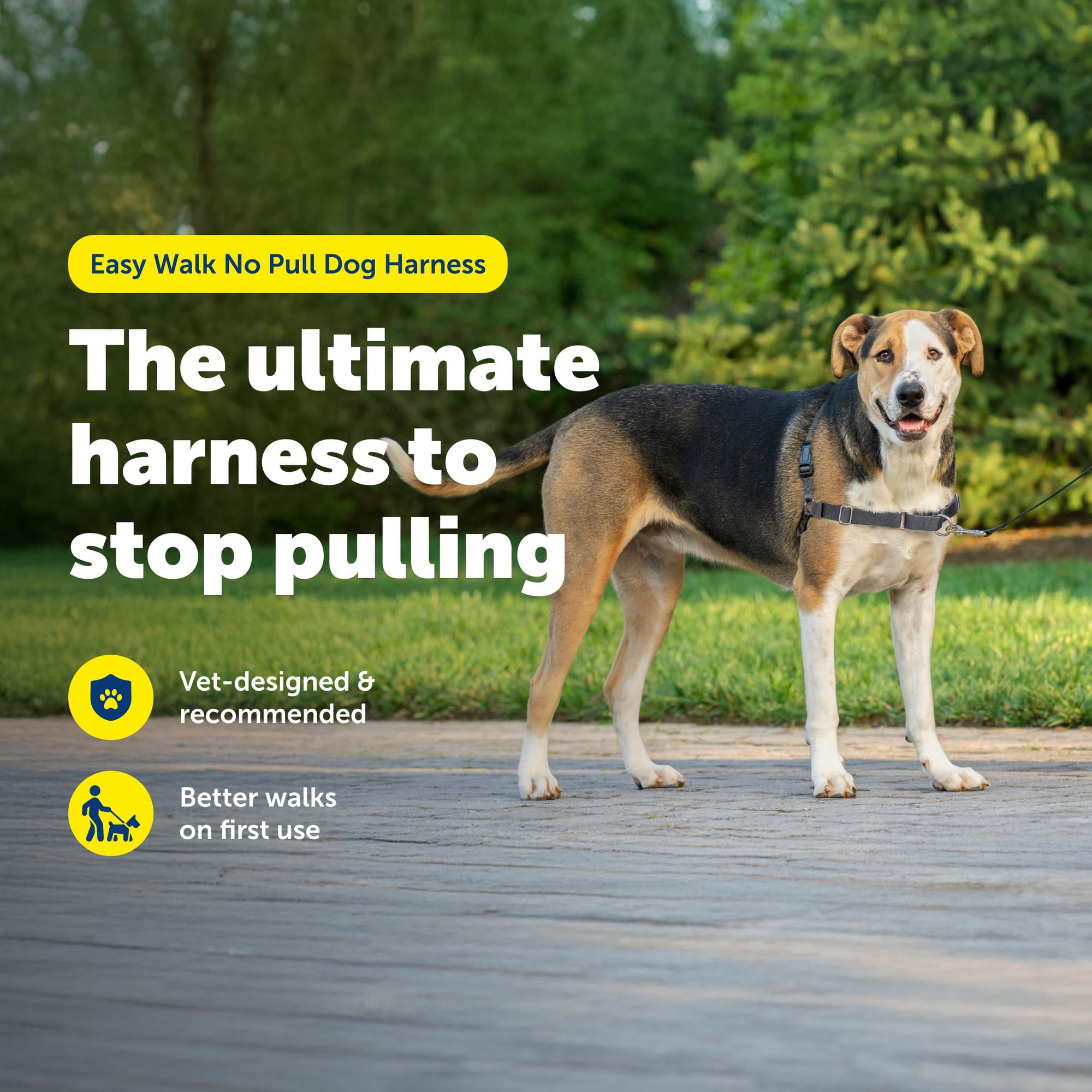 PetSafe Easy Walk profil révélant coupe légère et respirabilité