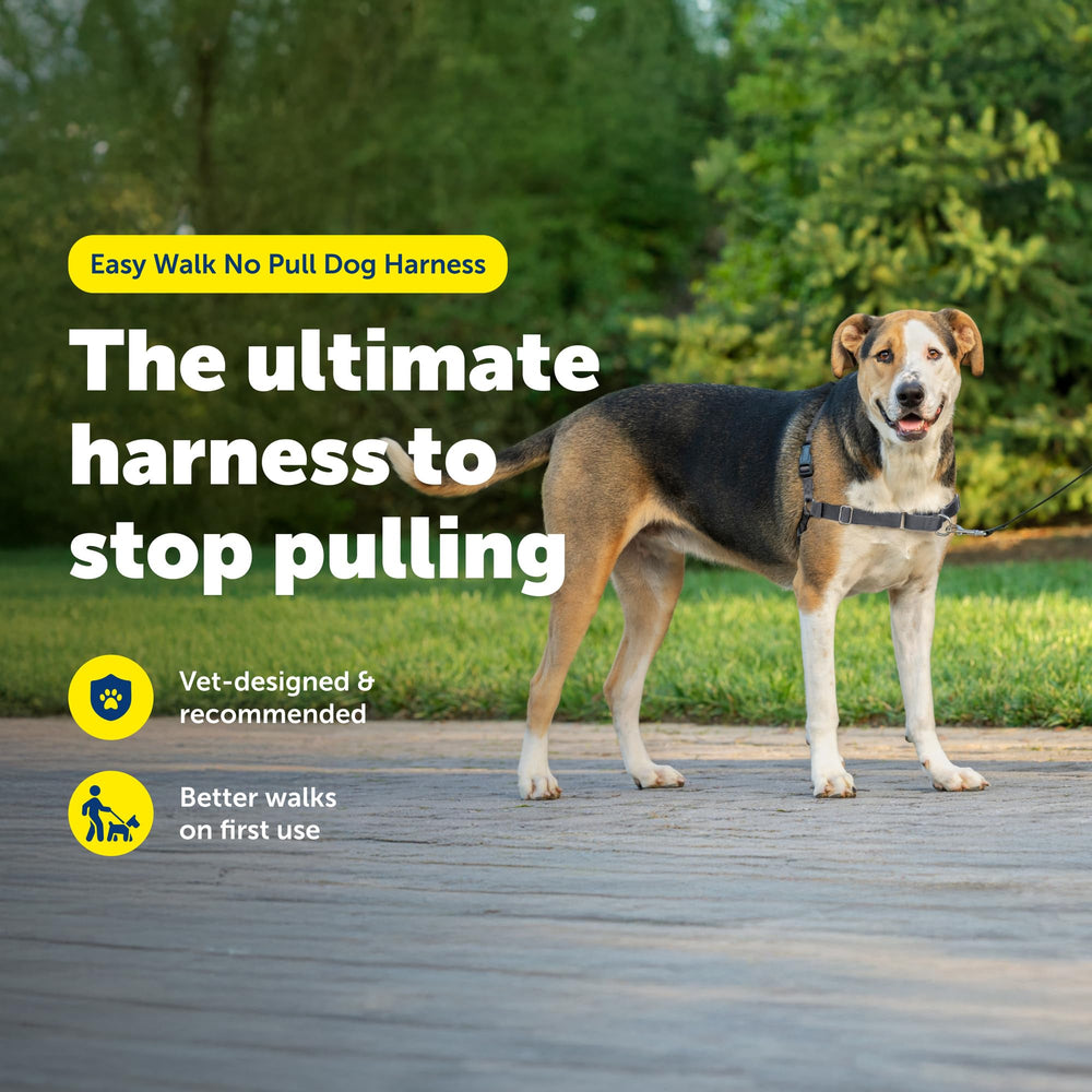 PetSafe Easy Walk profil révélant coupe légère et respirabilité