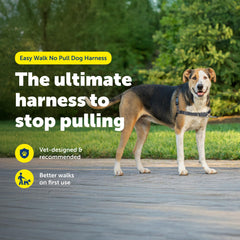 PetSafe Easy Walk profil révélant coupe légère et respirabilité