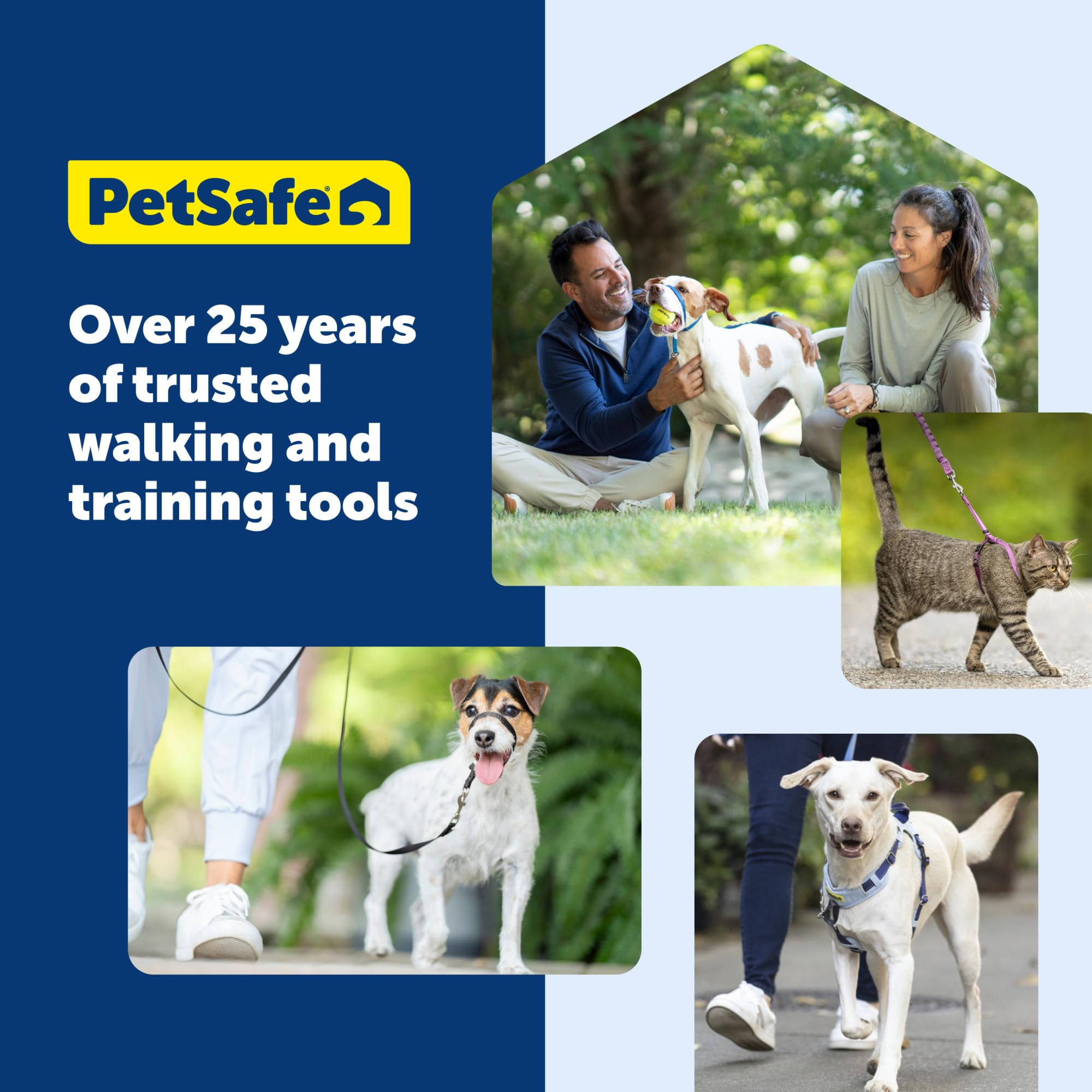 PetSafe harnais en contexte randonnée durable et adapté aux sorties