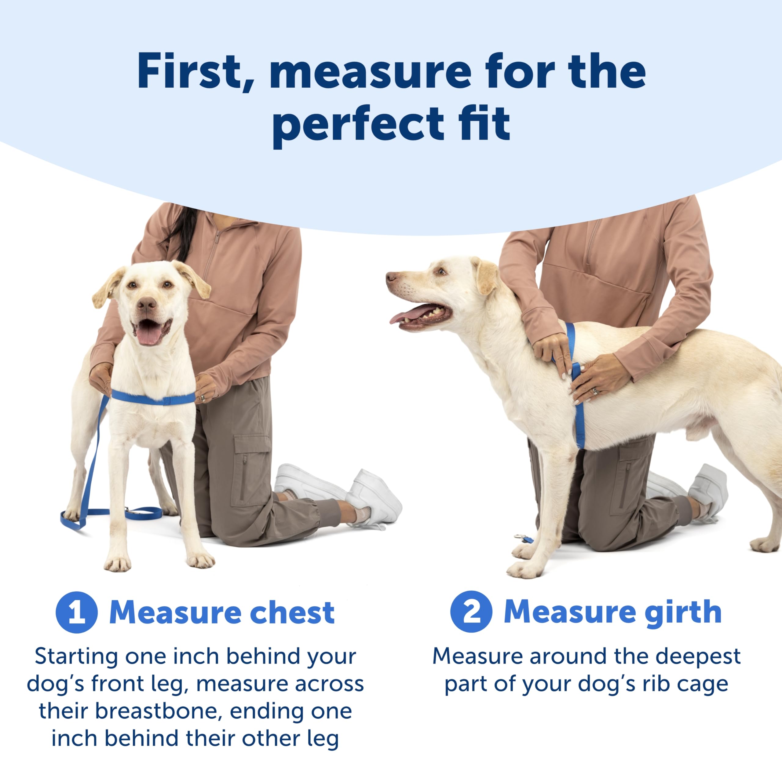 PetSafe Easy Walk Harness comparaison taille Medium et Large pour choix