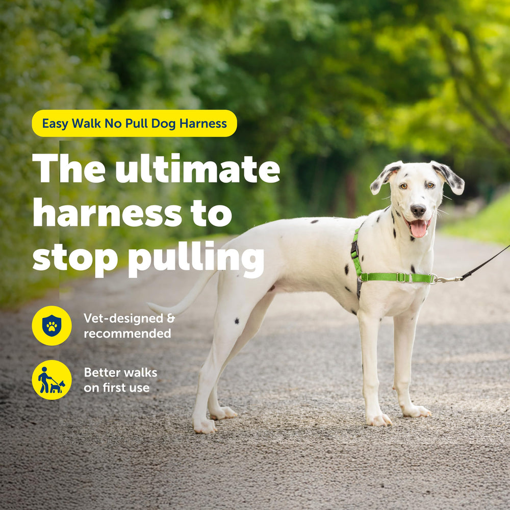 PetSafe Easy Walk Harness gros plan sur la boucle martingale, contrôle doux