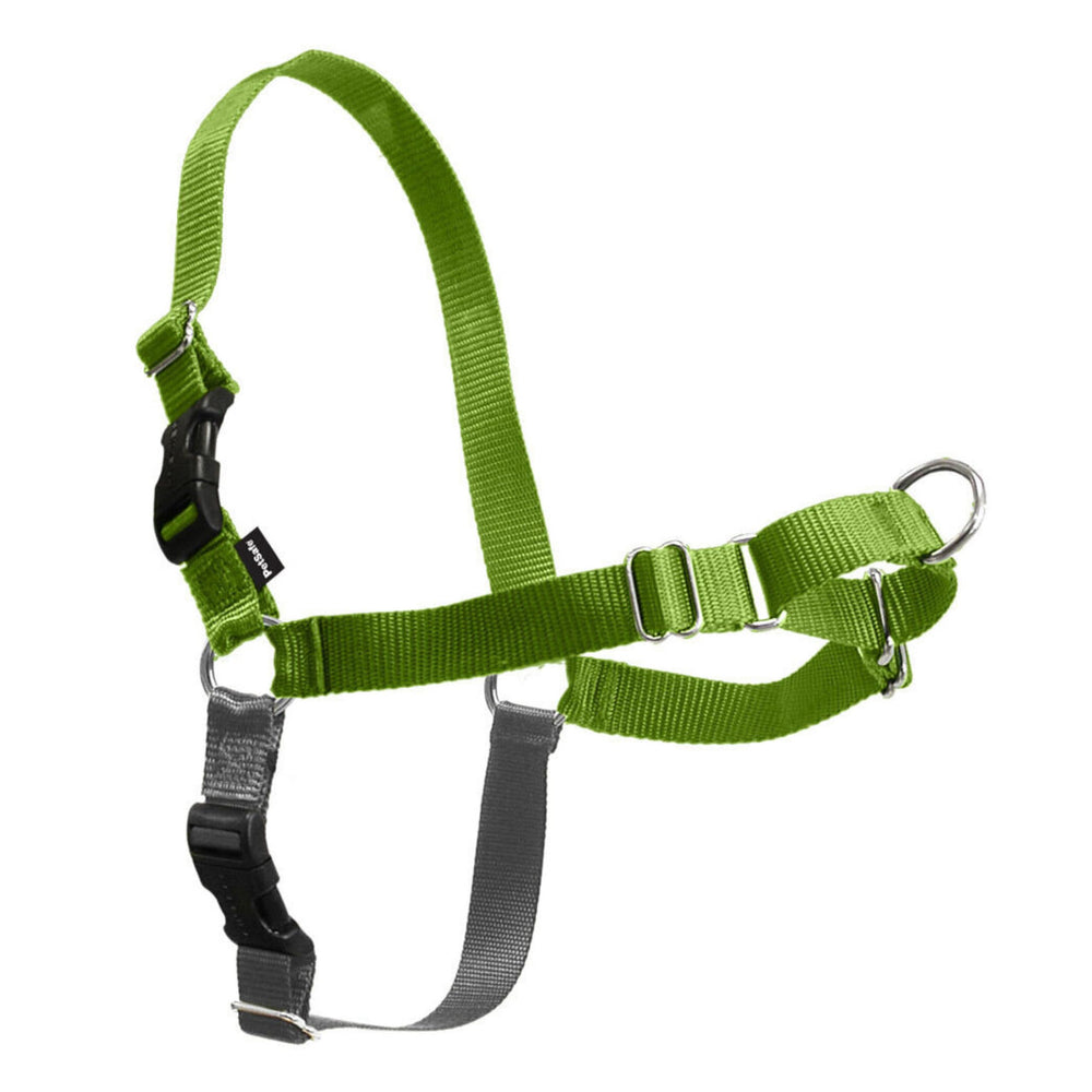 PetSafe Easy Walk Harness face avant montrant l'ajustement et sécurité