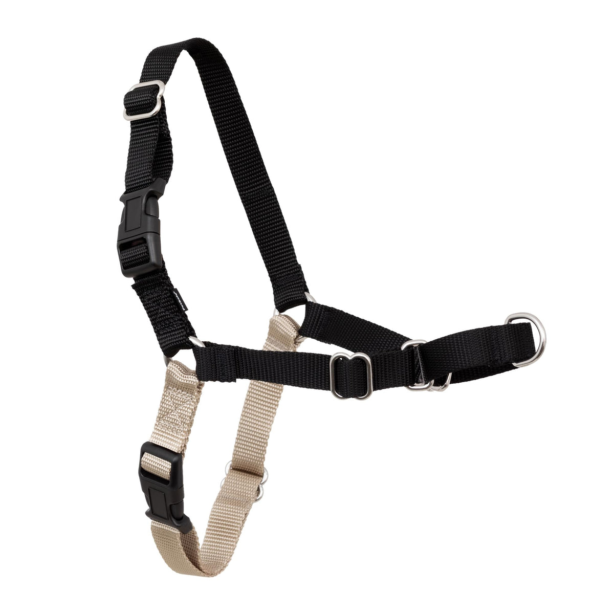 PetSafe harnais Easy Walk vue avant montrant maintien et confort