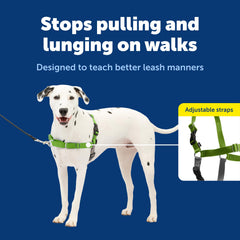 PetSafe Easy Walk Harness texture respirante offrant confort thermique