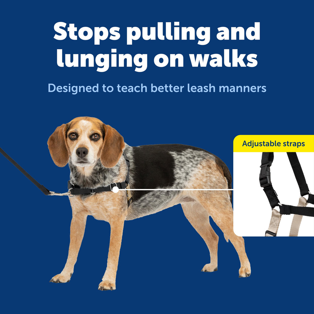 PetSafe harnais Easy Walk textile respirant léger pour promenades confortables