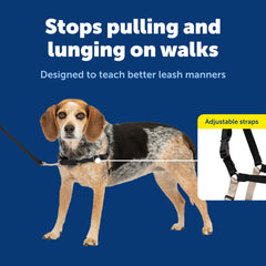 PetSafe harnais Easy Walk textile respirant léger pour promenades confortables
