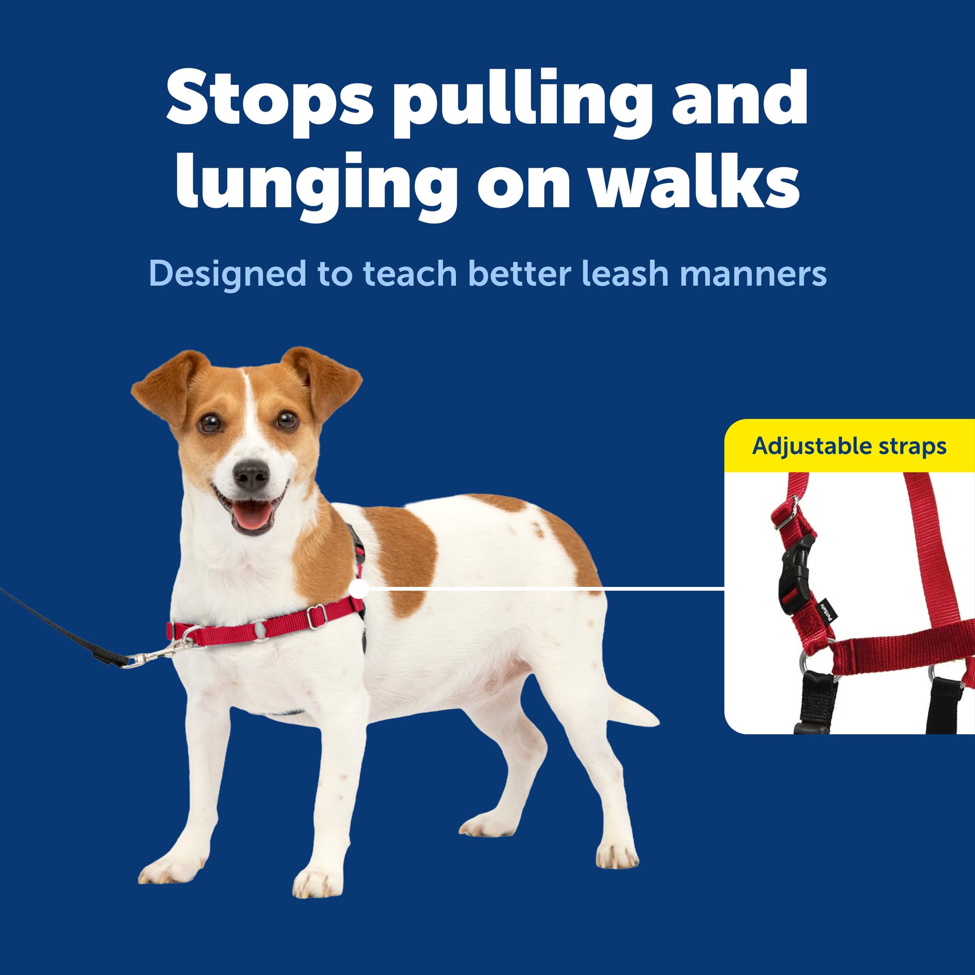 PetSafe harnais texture respirante légère pour confort sur longues promenades