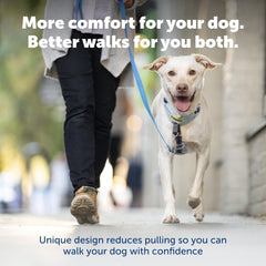 PetSafe gros plan rembourrage offrant coussinet doux pour chien