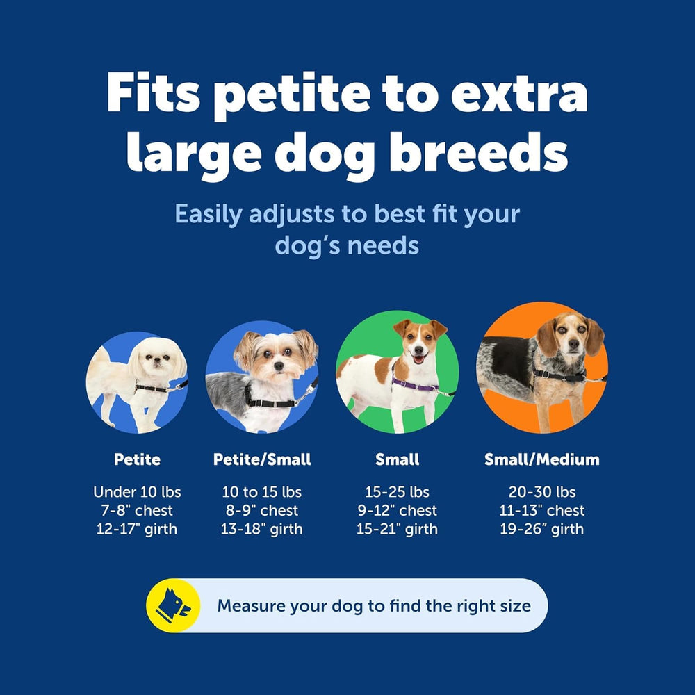 PetSafe sangle ventrale codée couleur facilitant le bon positionnement