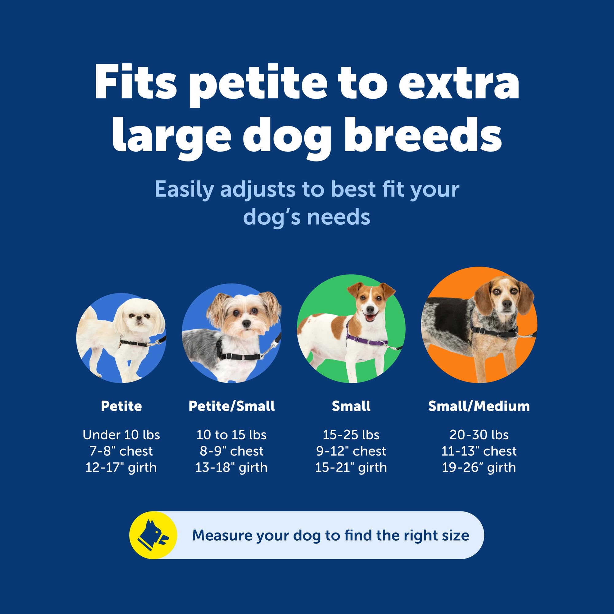 PetSafe harnais sangle ventrale colorée pour enfiler rapidement et éviter erreurs