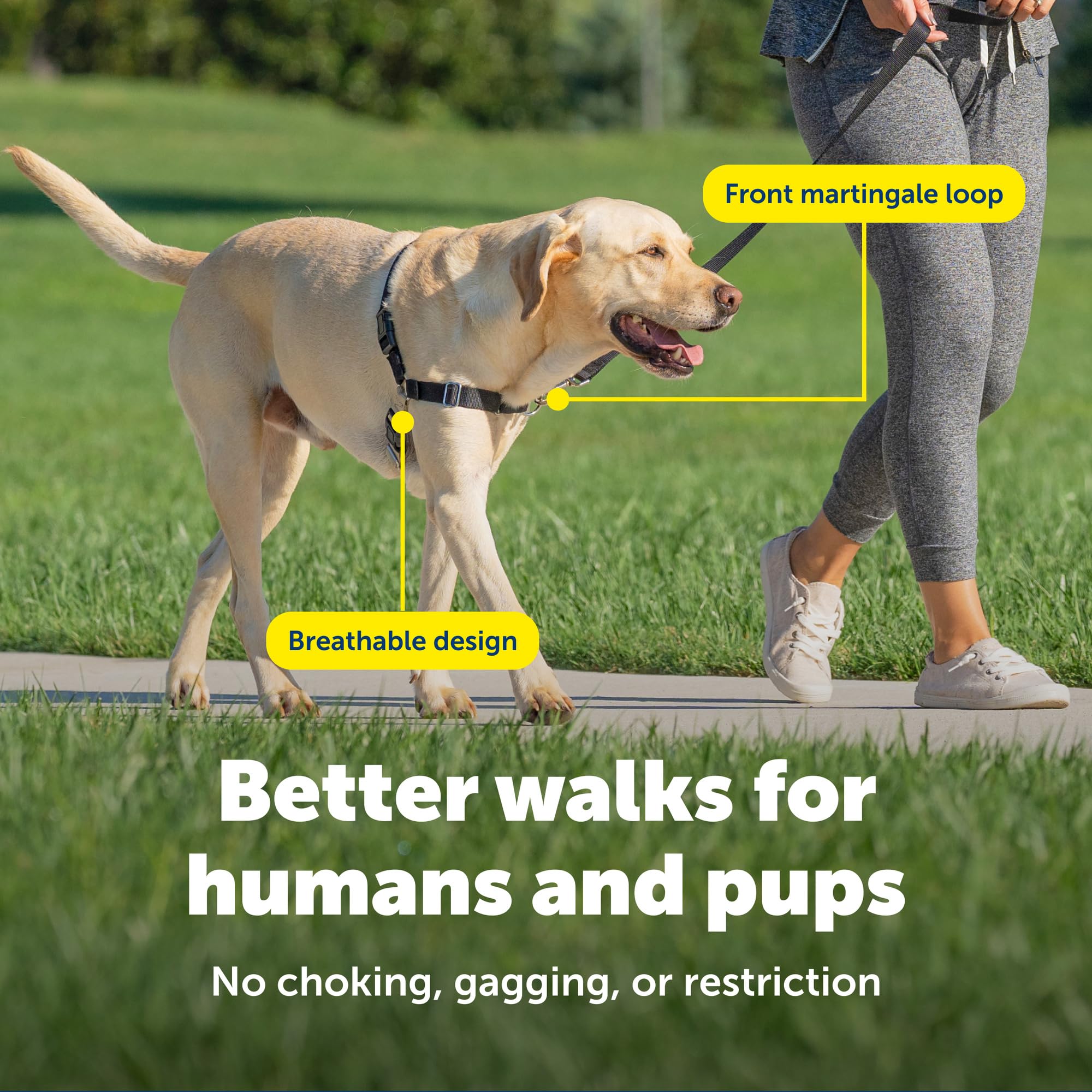 PetSafe sangle ventrale contrastée facilitant la pose et l'orientation