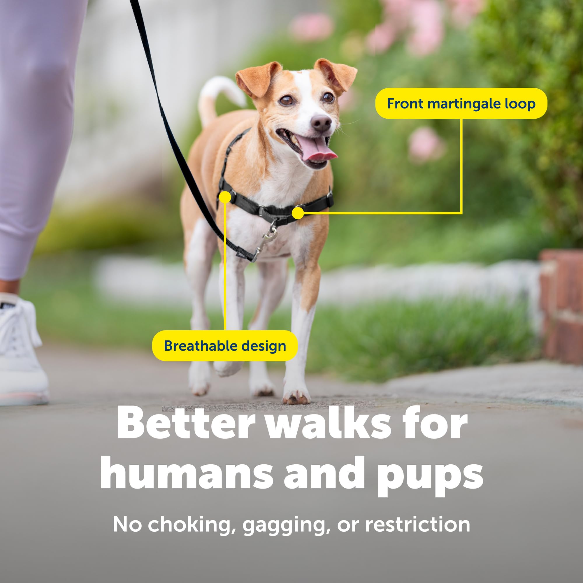 PetSafe harnais sangles ajustables et boucles rapides pour mise en place facile