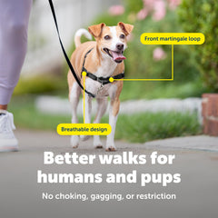 PetSafe harnais sangles ajustables et boucles rapides pour mise en place facile