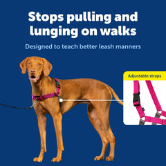 PetSafe texture du matériau léger et respirant assurant confort prolongé