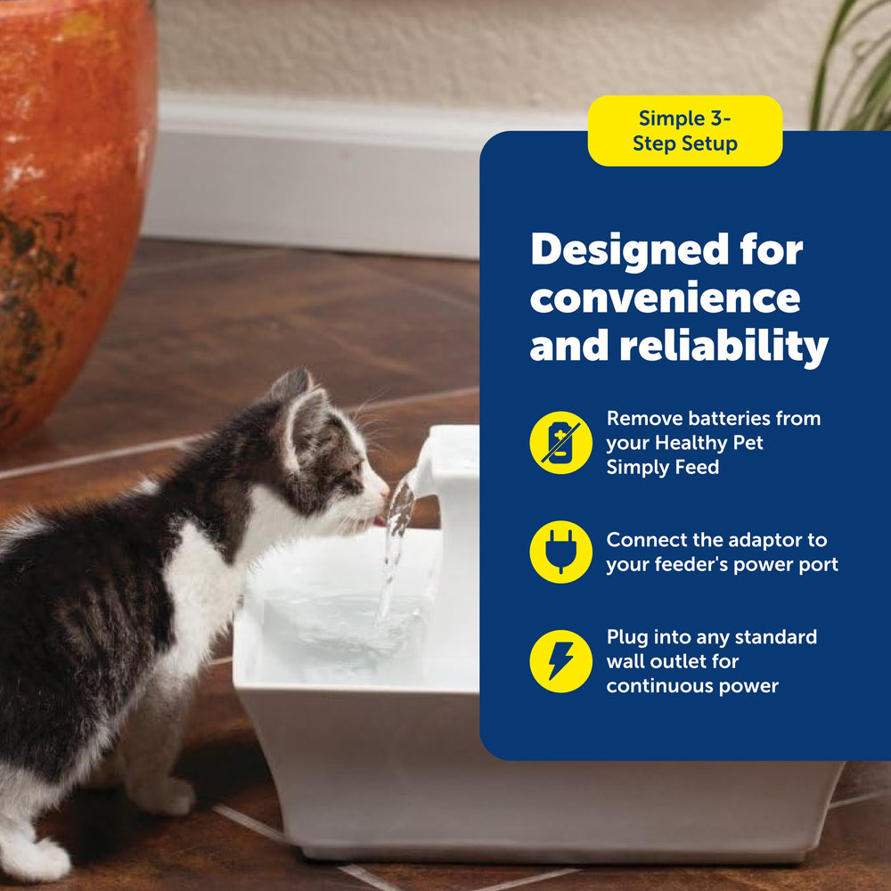 PetSafe adaptateur à l’échelle pour visualiser taille compacte pratique