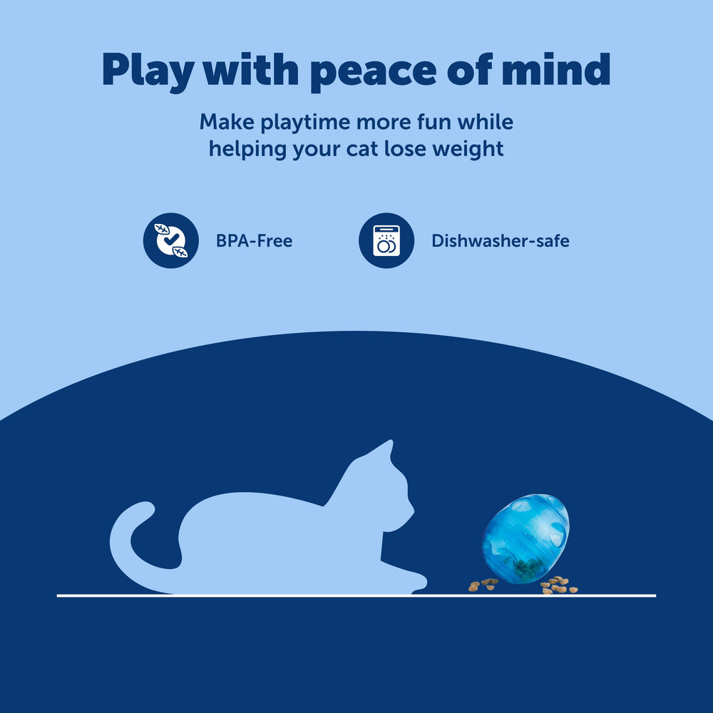 PetSafe chat en train de pousser l'egg-cersizer pour obtenir des friandises actif