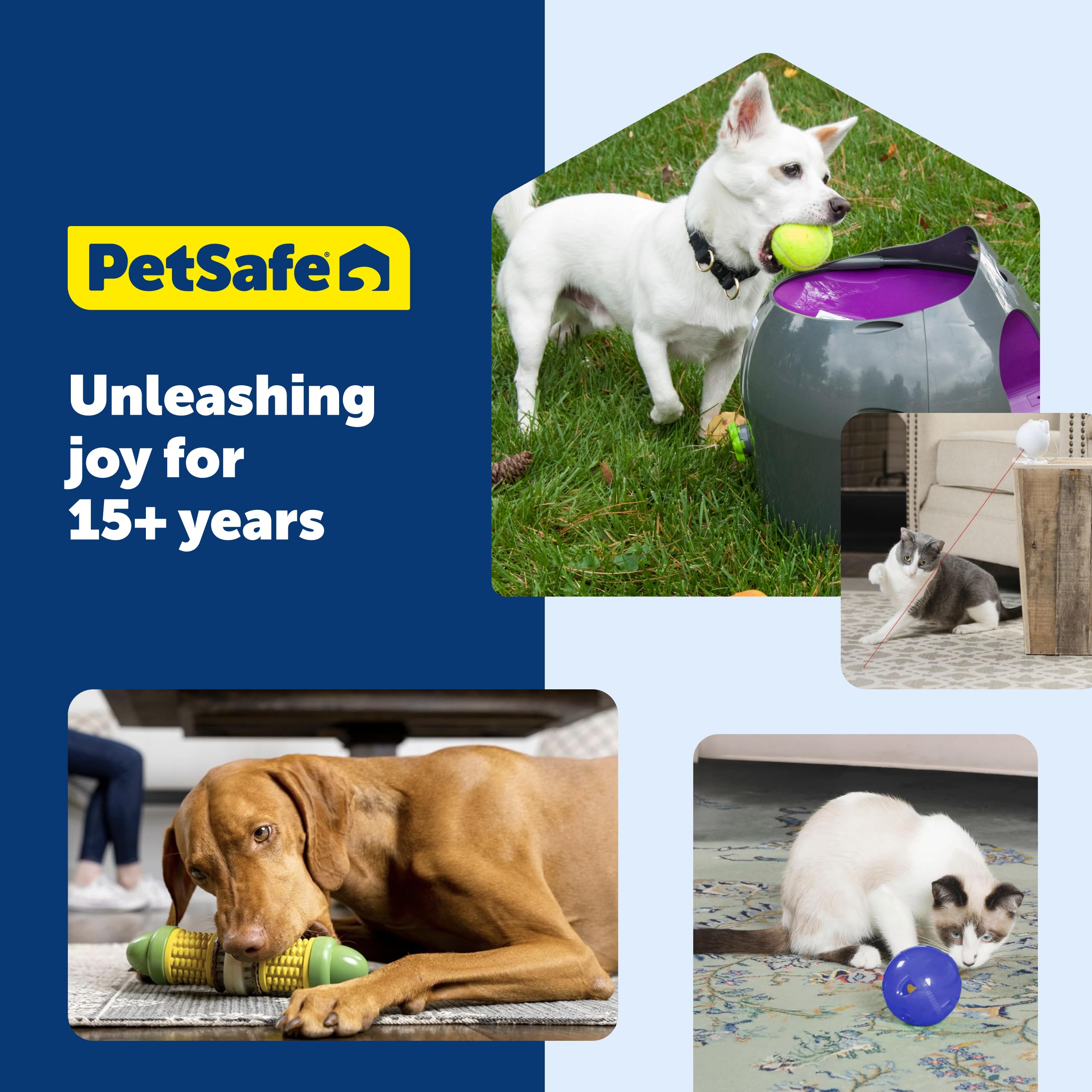 PetSafe comparaison avec une main pour visualiser la taille et l'échelle