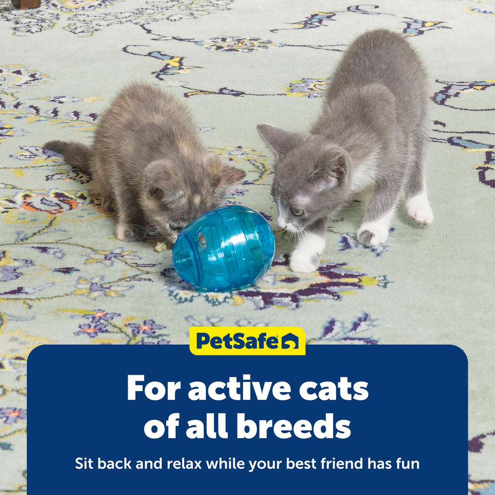 PetSafe intérieur rempli de croquettes montrant la capacité pratique