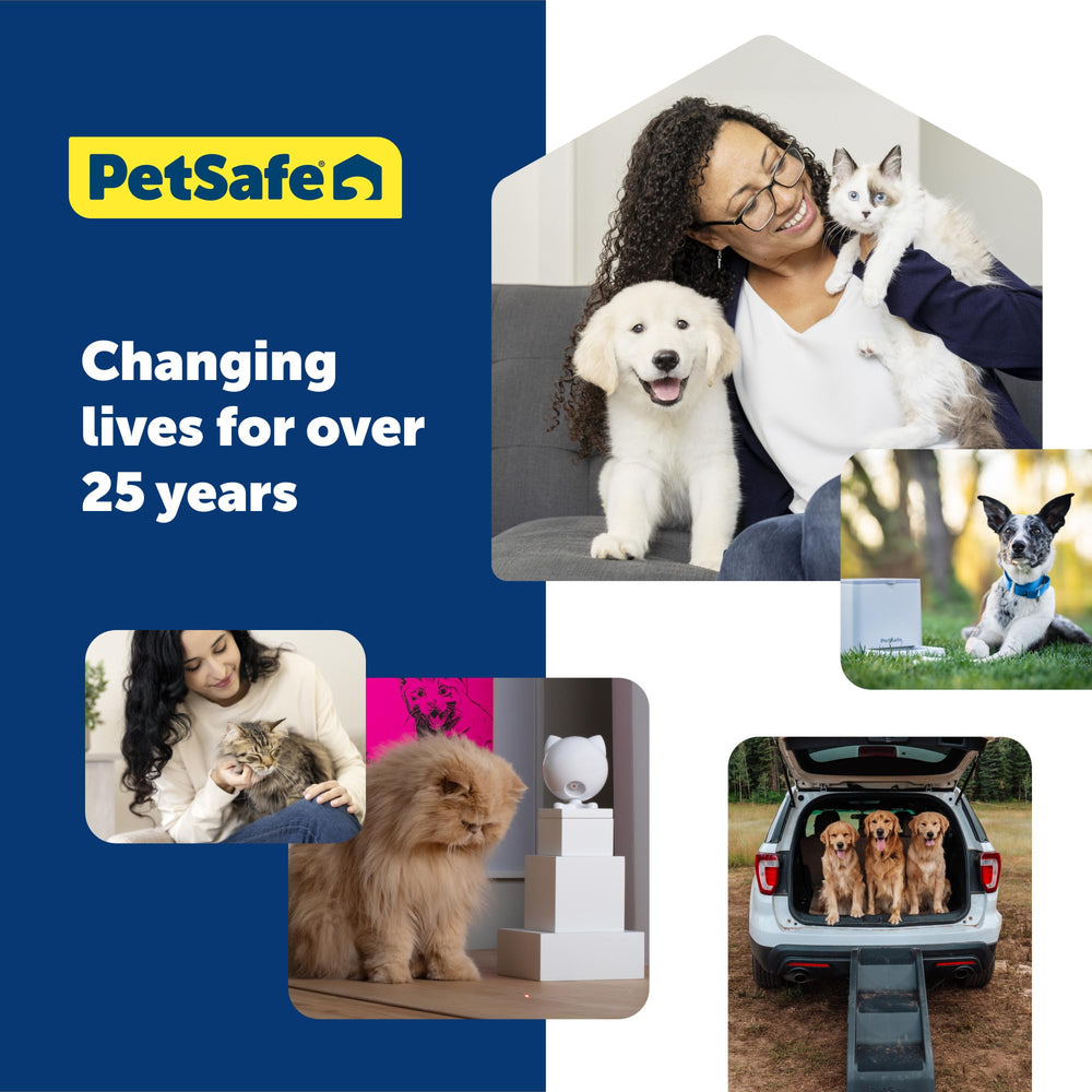 PetSafe vue supérieure de l'ouverture pour remplir facilement le jouet
