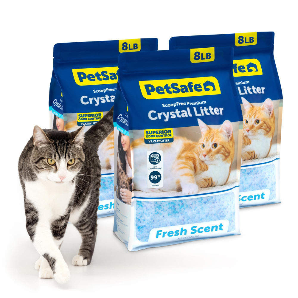 PetSafe emballage avant montrant lot de 3 et bénéfice fraîcheur
